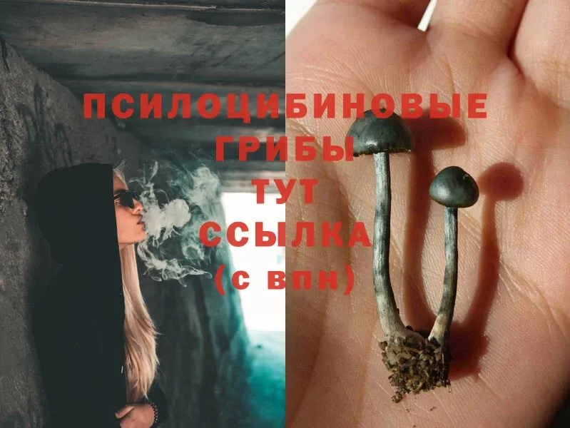 Галлюциногенные грибы Magic Shrooms  blacksprut ссылки  Асбест 